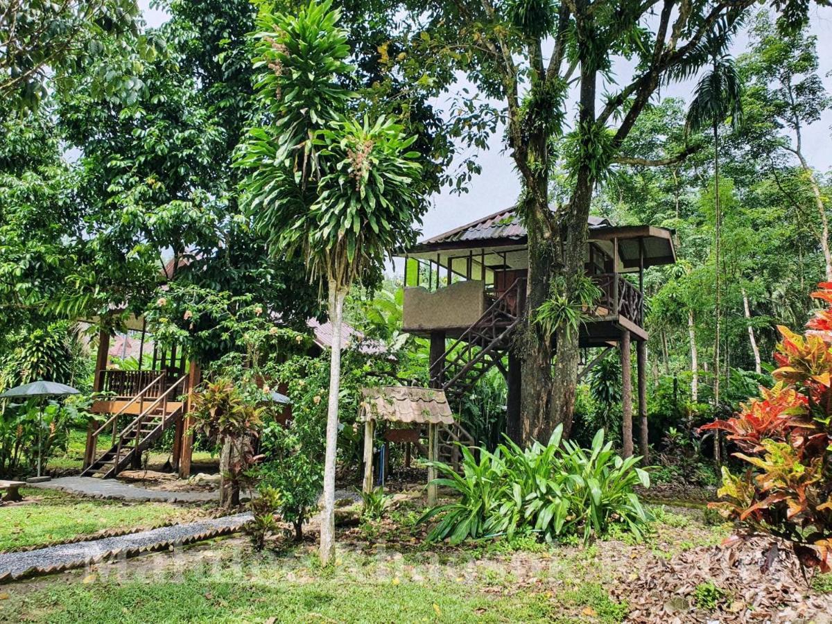 Malulee Khaosok Resort Khao Sok National Park Экстерьер фото